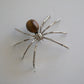 Tiger Eye Spider