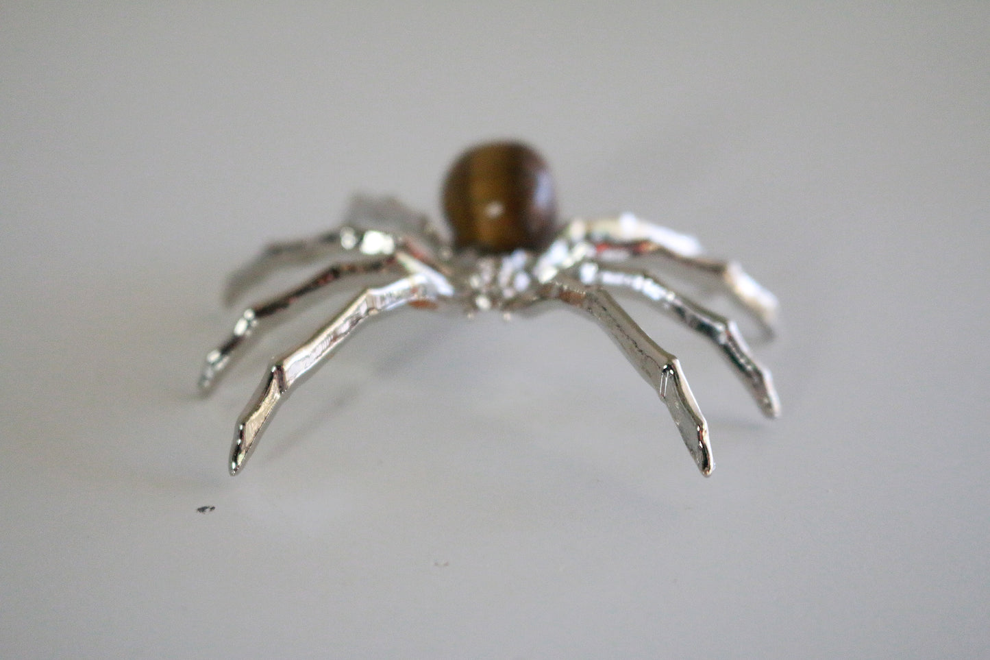 Tiger Eye Spider