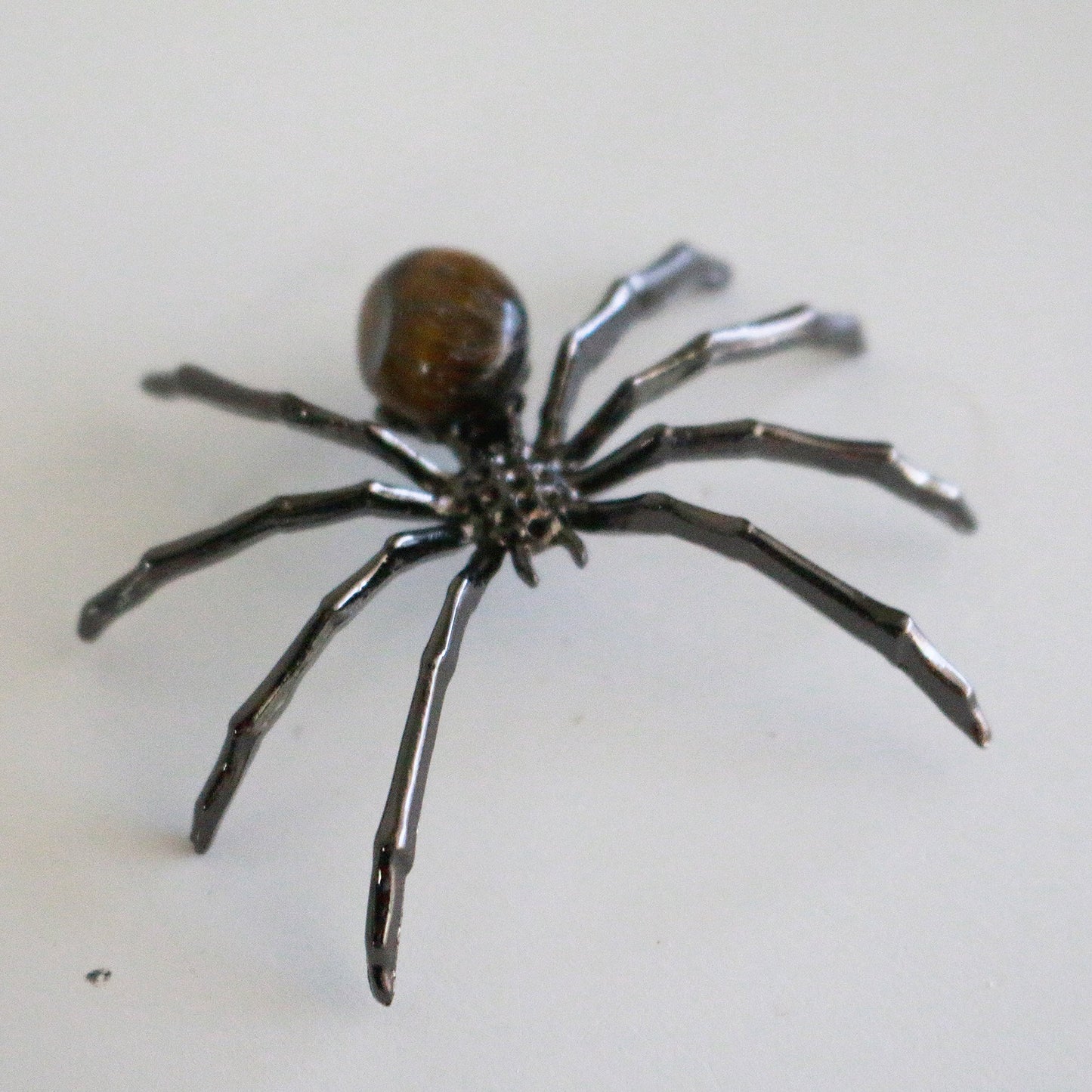 Tiger Eye Spider