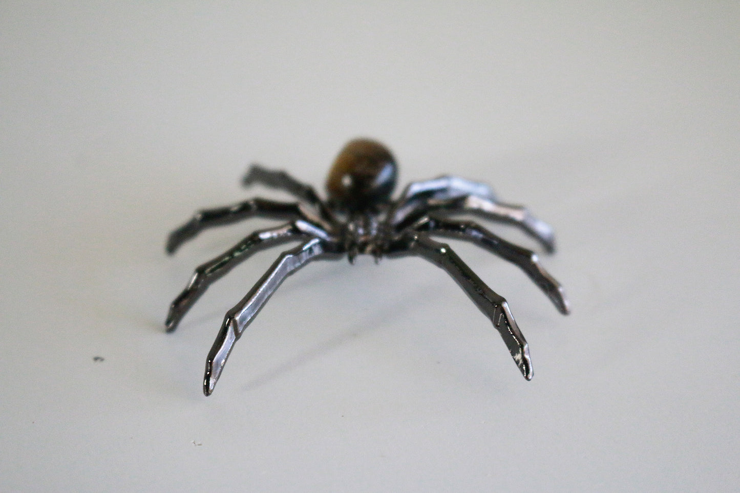Tiger Eye Spider