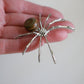 Tiger Eye Spider