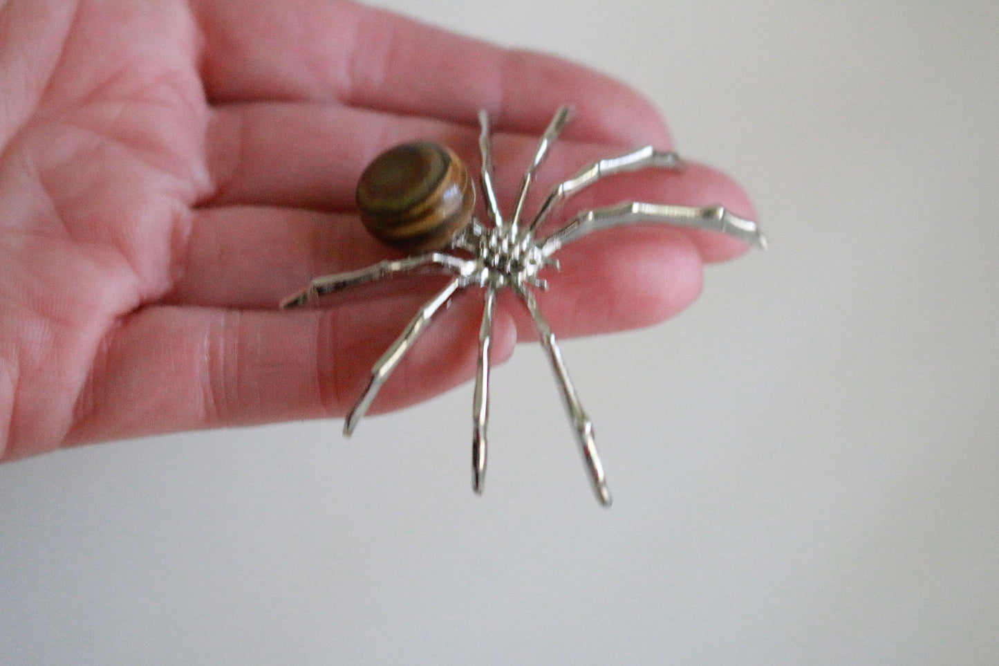Tiger Eye Spider