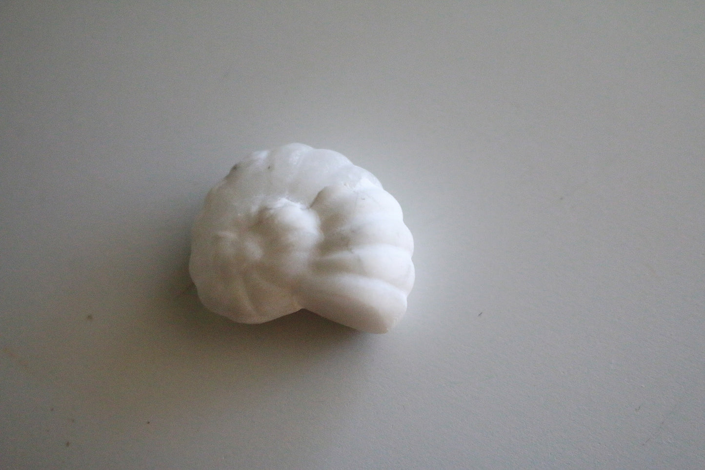 Snow Quartz Ammonite (1.5 in)