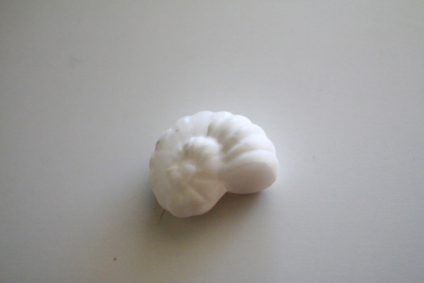 Snow Quartz Ammonite (1.5 in)