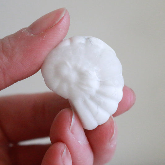 Snow Quartz Ammonite (1.5 in)