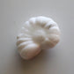 Snow Quartz Ammonite (1.5 in)