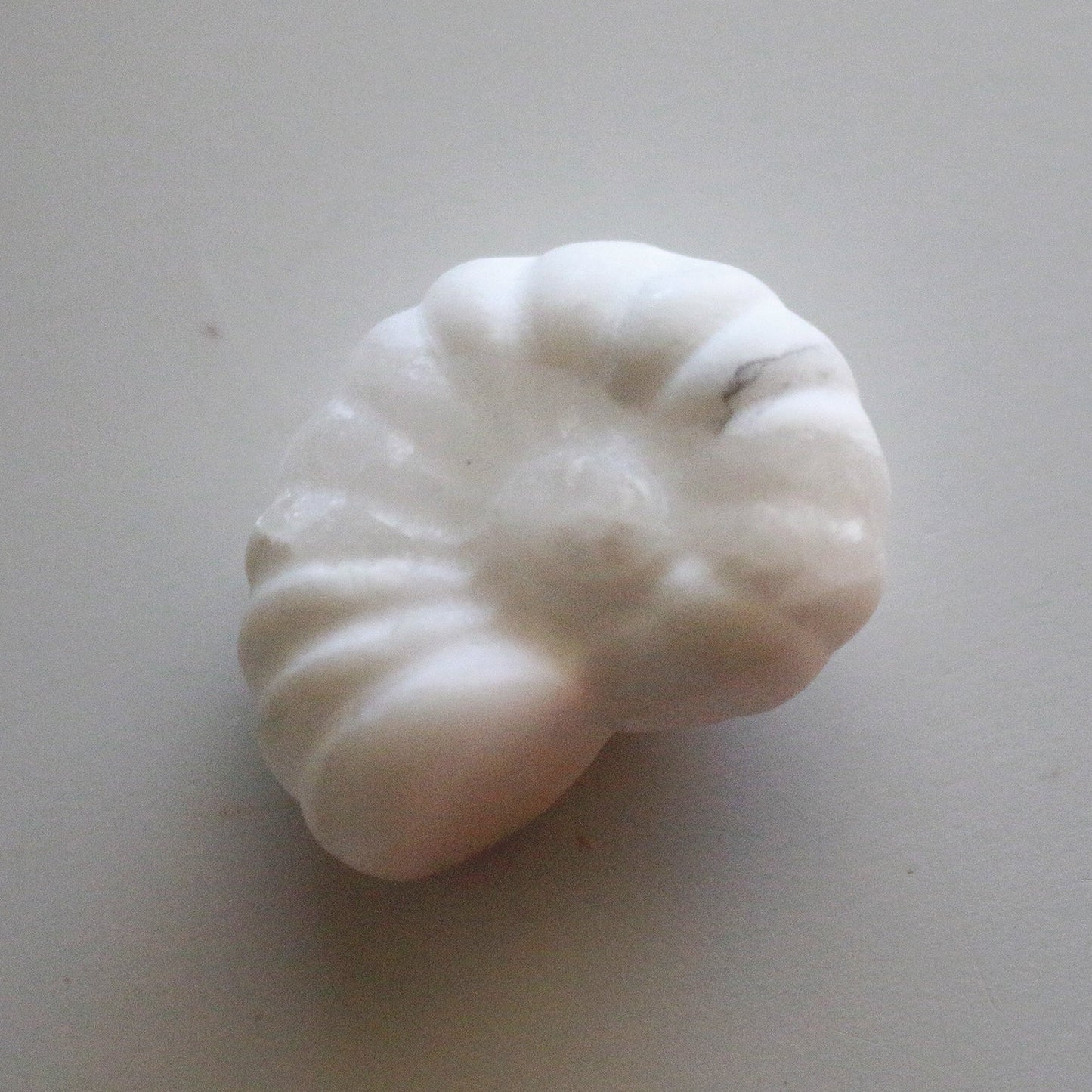 Snow Quartz Ammonite (1.5 in)