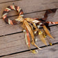 Vintage Visions Large Witch Bells / Wreath