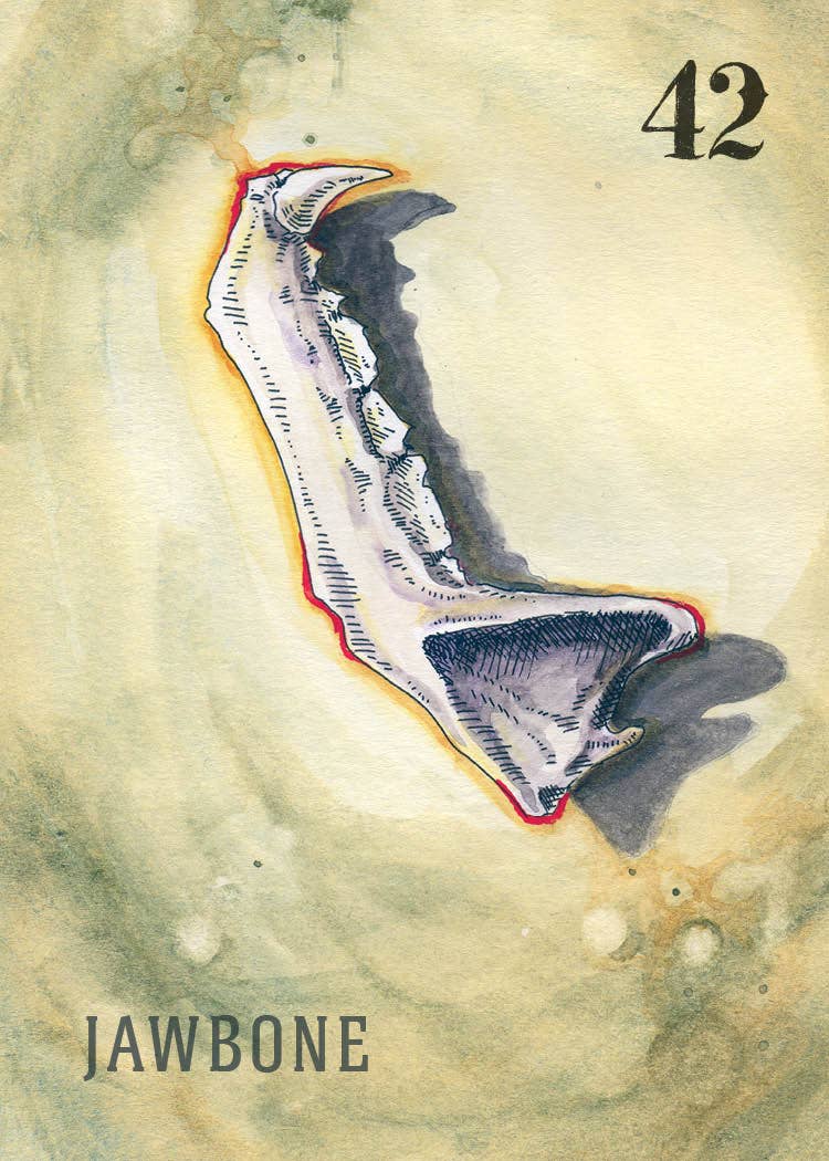 Between the Worlds: Shadowcasting with Bone and Curio Oracle Cards