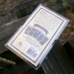 Tarot del Toro: A Tarot Deck and Guidebook