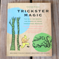 Trickster Magic: Tap Into the Power of Irresistible Rascals