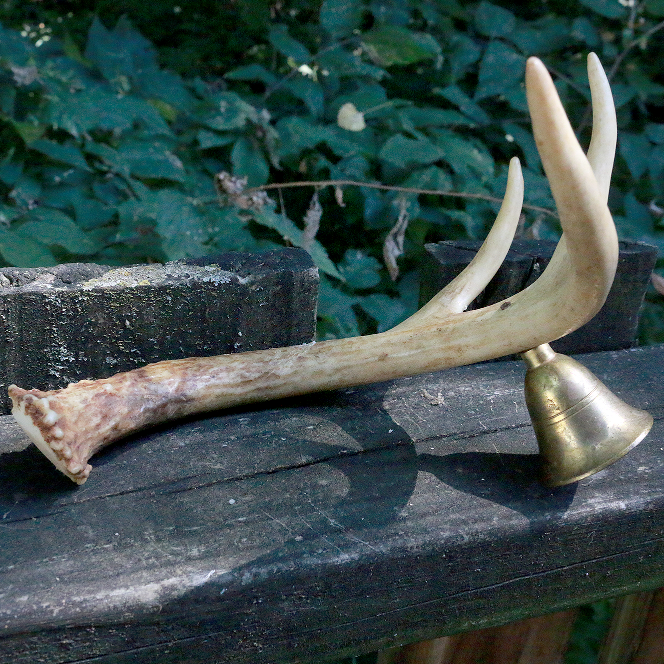 Secondhand Antler Handle Candle Snuffer