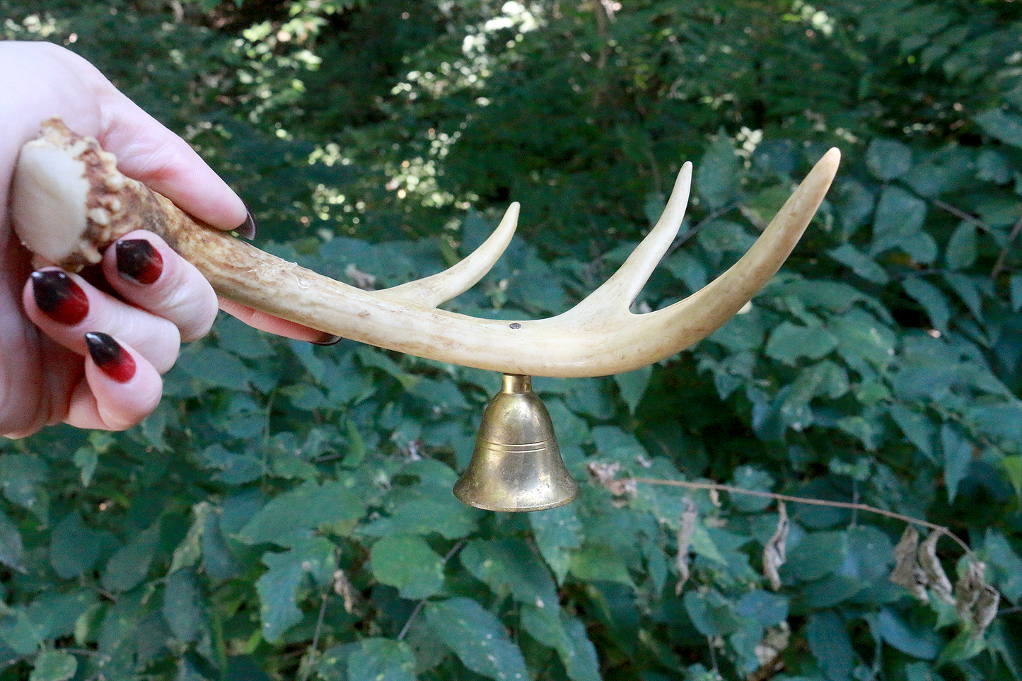 Secondhand Antler Handle Candle Snuffer