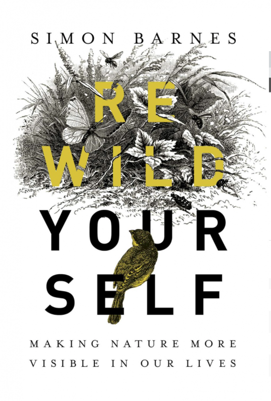 Rewild Yourself: Making Nature More Visible in our Lives