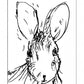 Carrot Cards: Old-Time Rabbit Wisdom